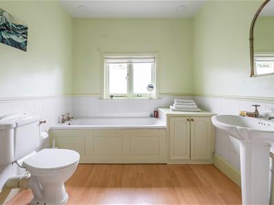 Picture 16